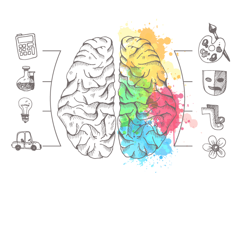 brain_schema